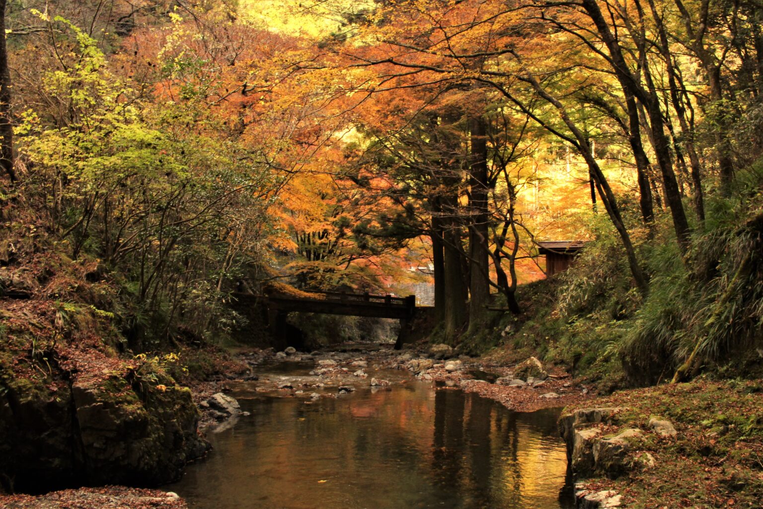 蓬莱山  佐野 観光